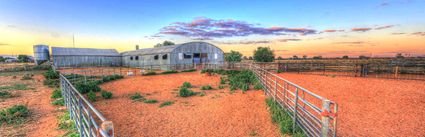 Bucklow Station - Woolshed - NSW (PB5D 00 2664)